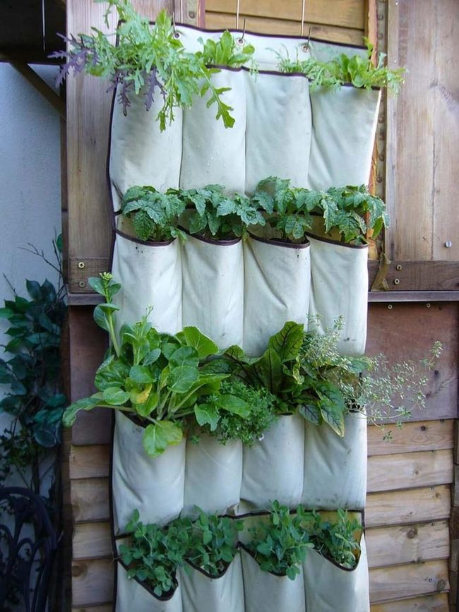 Pocket Garden Vertical Harvest