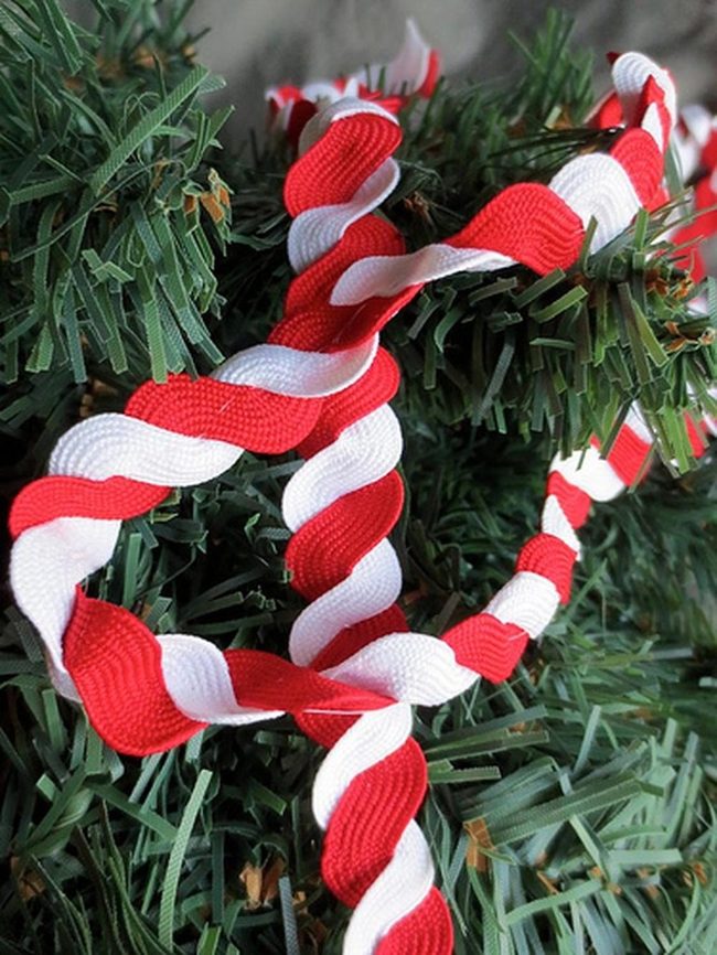 Red And White Pine Spirals