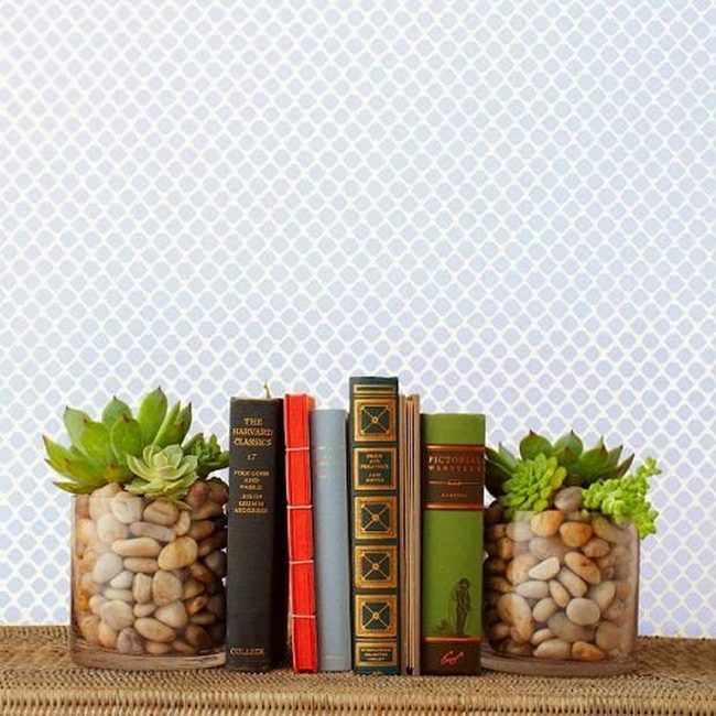 Living Succulents Between Your Books