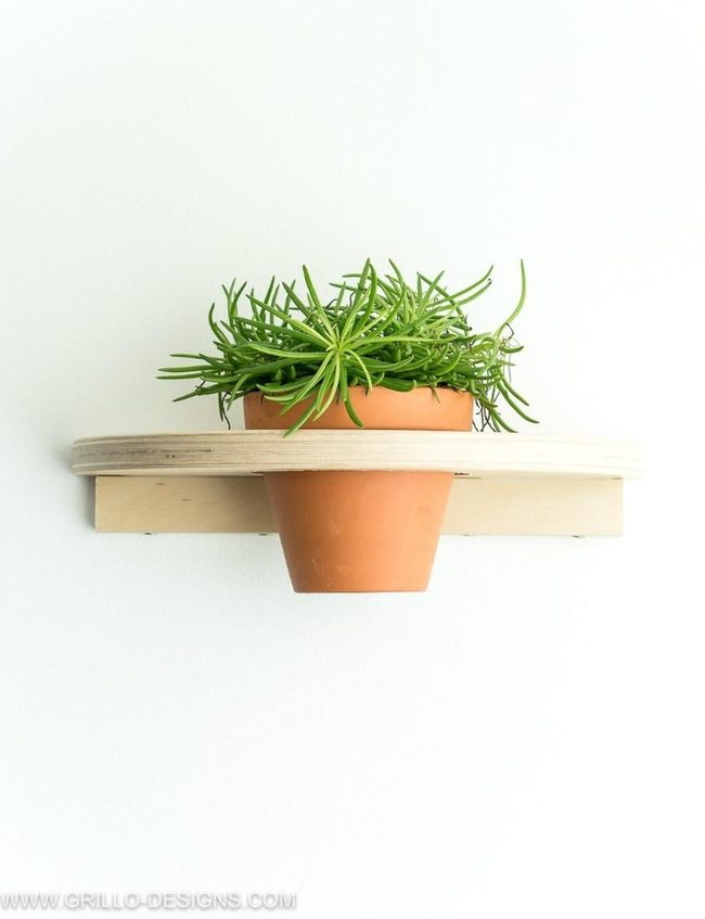 Green Cascades On Terracotta