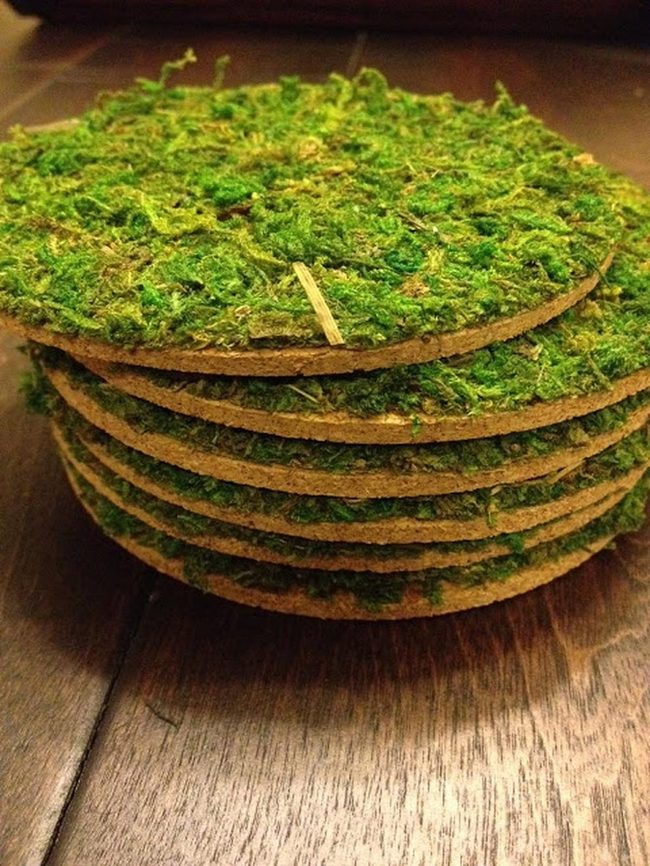 Green Moss Cork Coasters