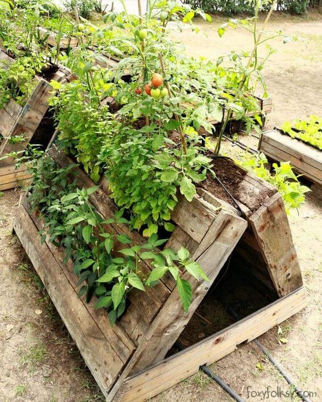 Natural Wood Tiered Planters