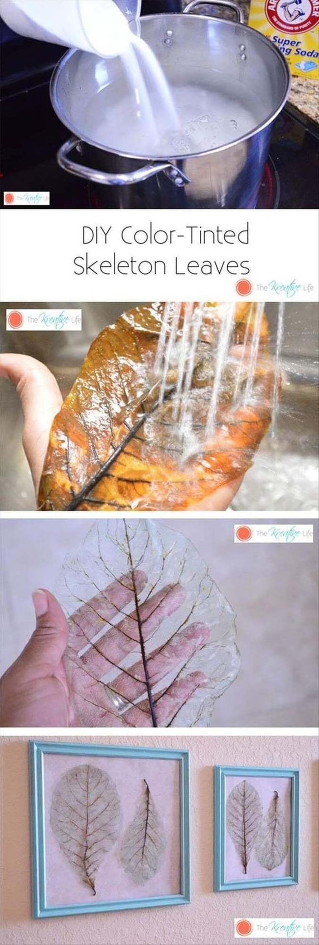 Bleached Leaf Vein Frames