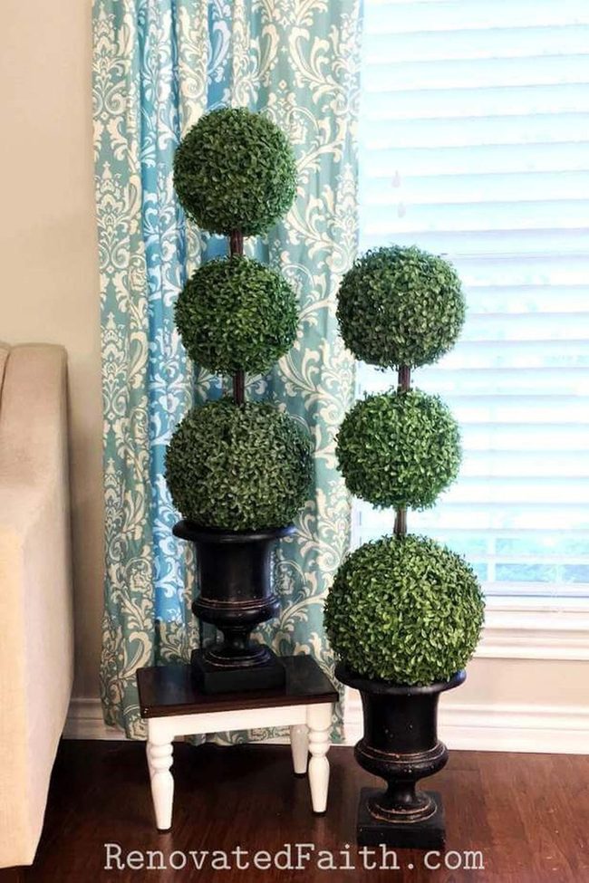 Boxwood Spheres Frame Your Entry