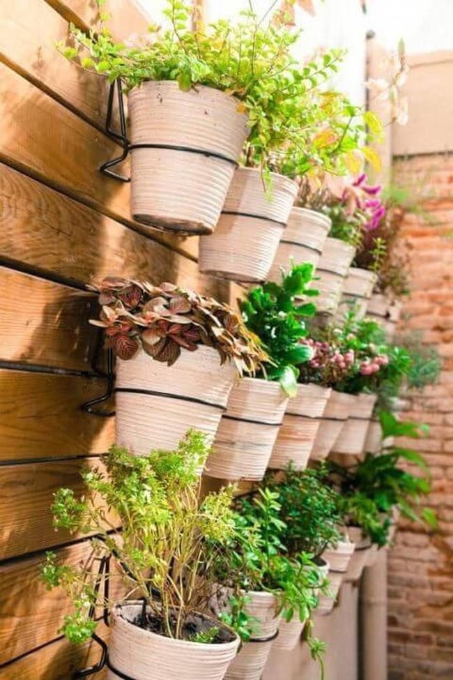Green Living Wall System