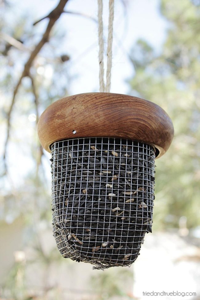 Black Seeds Through Wire Mesh