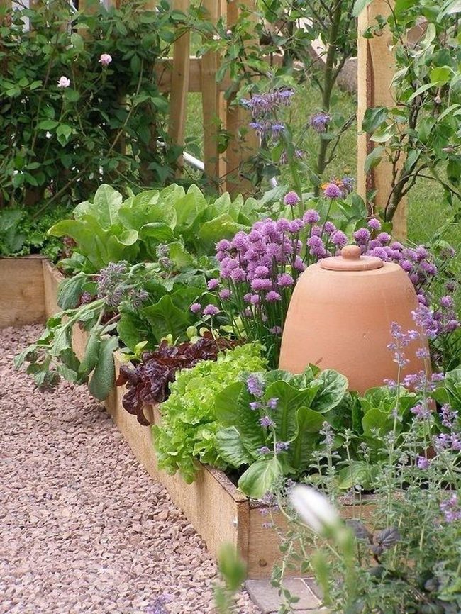 Elevated Garden Beds With Purple Blooms