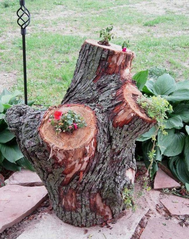 Reclaimed Wood Stump Planters