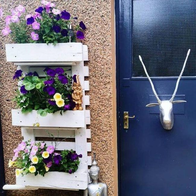 Green Wall Living Canvas