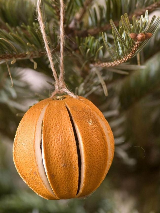 Amber Citrus Slices Winter
