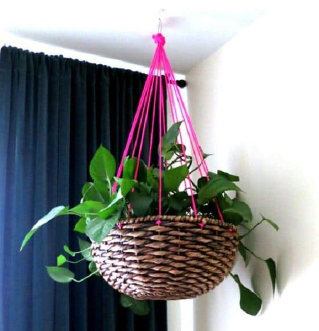 Cascading Green Ceiling Garden