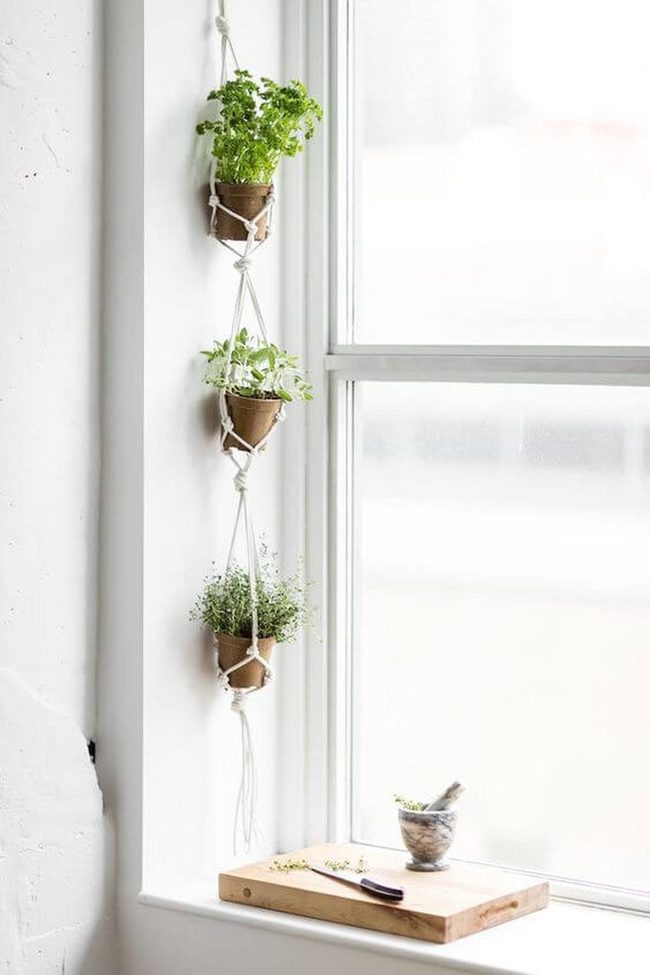 Cascading Green Kitchen Garden