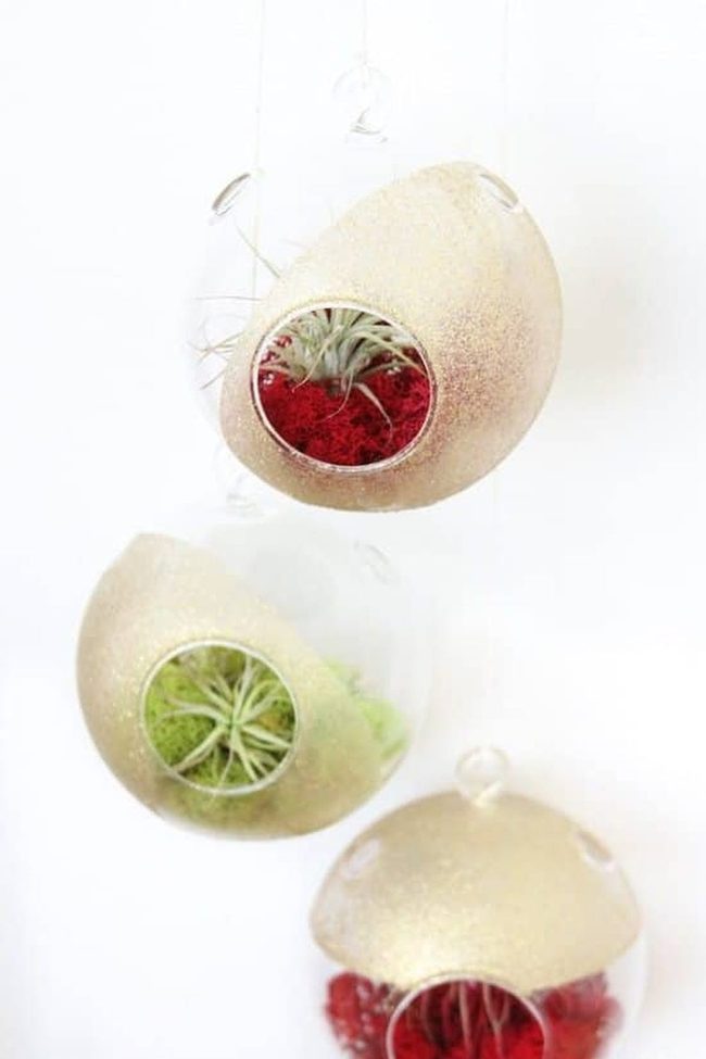 Glittery Glass Terrariums Winter
