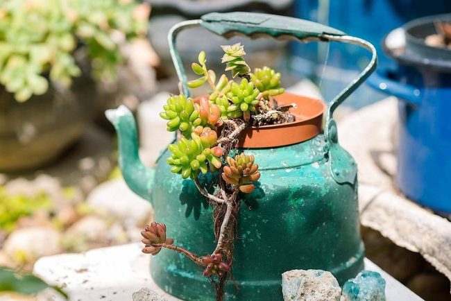 Cascading Plants In Vintage Teapots