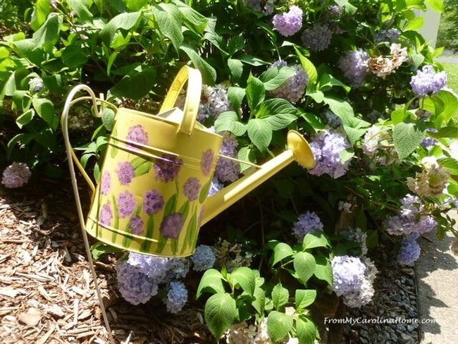 Sunny Yellow Watering Can Garden