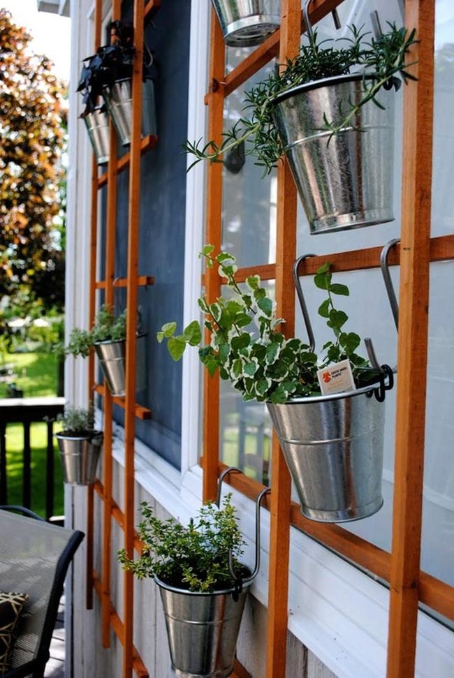 Shimmering Metal Buckets With Climbing Vines