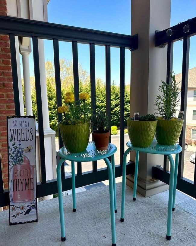 Colorful Pots, Instant Happiness