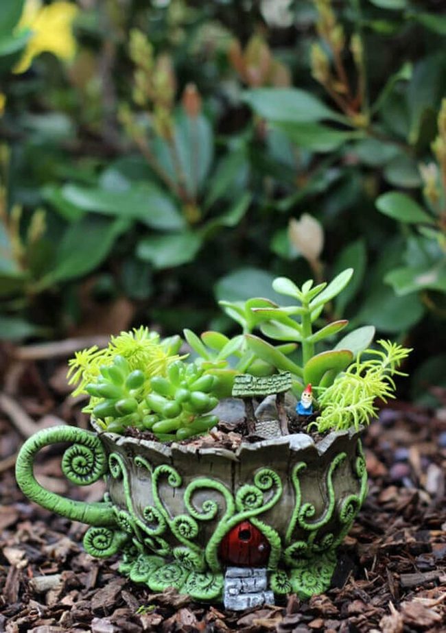 Green Herbs In Vintage Teacups