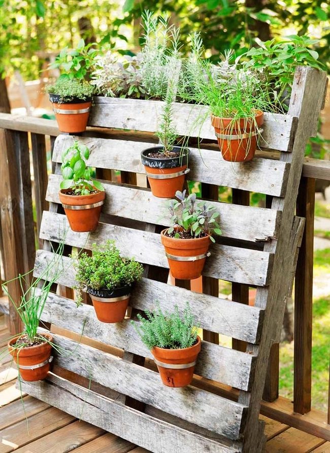 Whitewashed Pallet Herb Wall