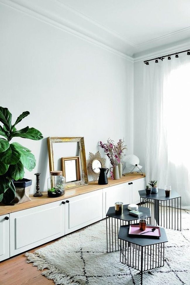 Black Hexagons, Green Plants, Calm Geometry