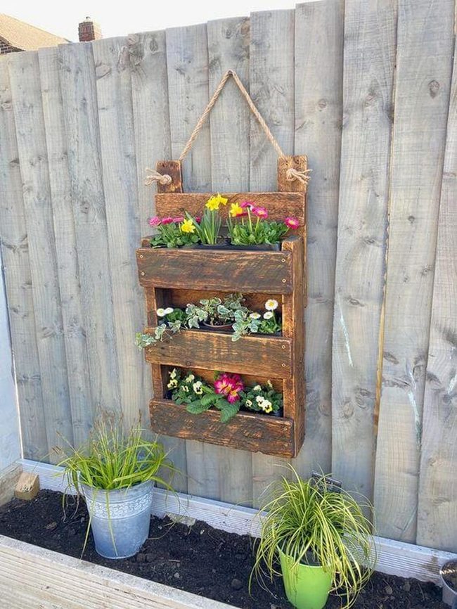 Wooden Pallet Living Wall