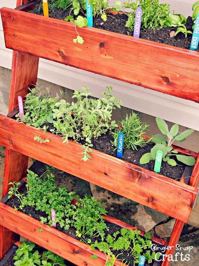 Wooden Ladder Herb Planter