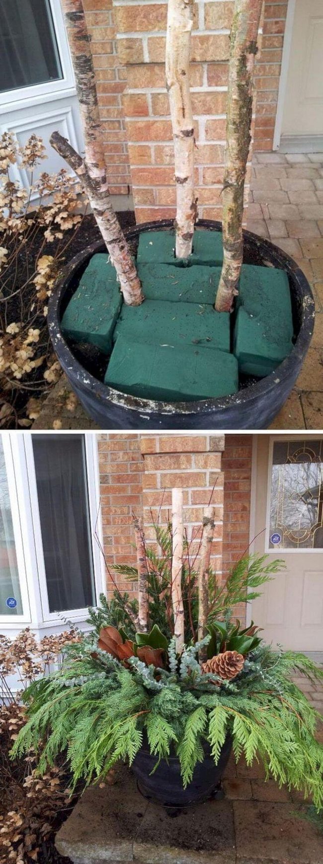 Birch And Pine Branch Planter