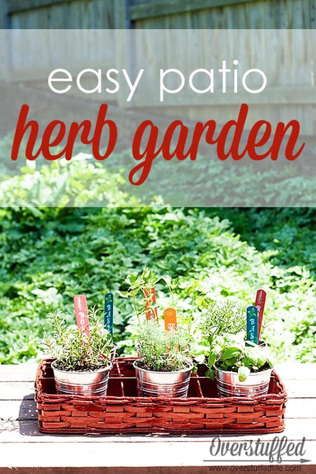 Copper Pots, Fresh Herbs