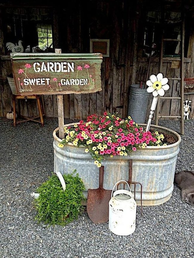 Weathered Metal Troughs, Blooming Birds