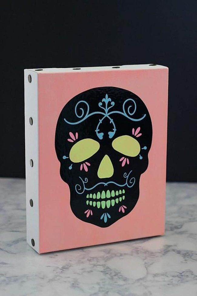Black Skull With Neon Accents