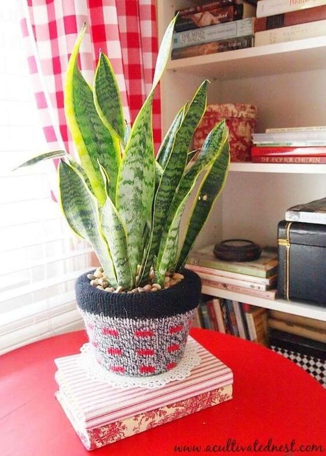 Green Vertical Purifiers