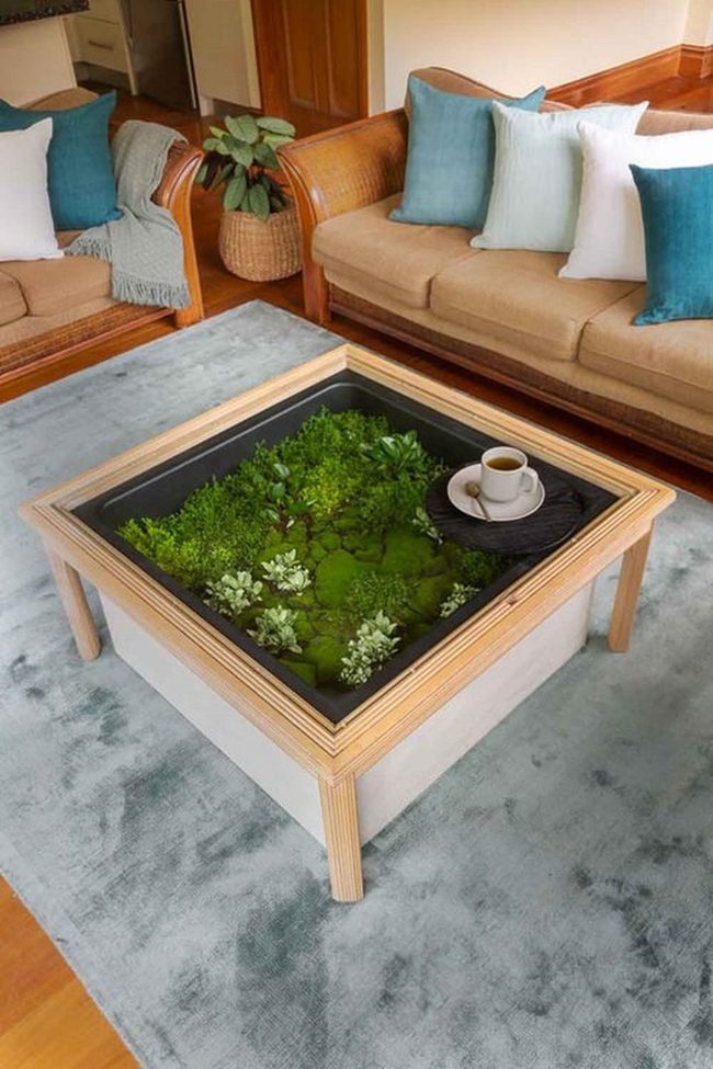 Glass Terrarium Table With Living Moss