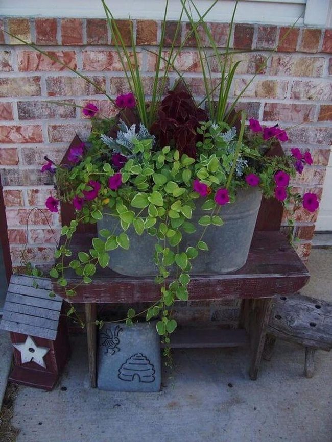 Blooming Patio Garden Paradise