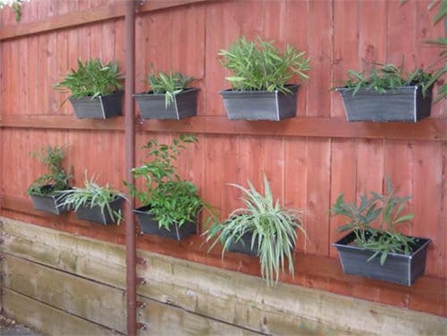 Ceramic Pots Climbing Fence