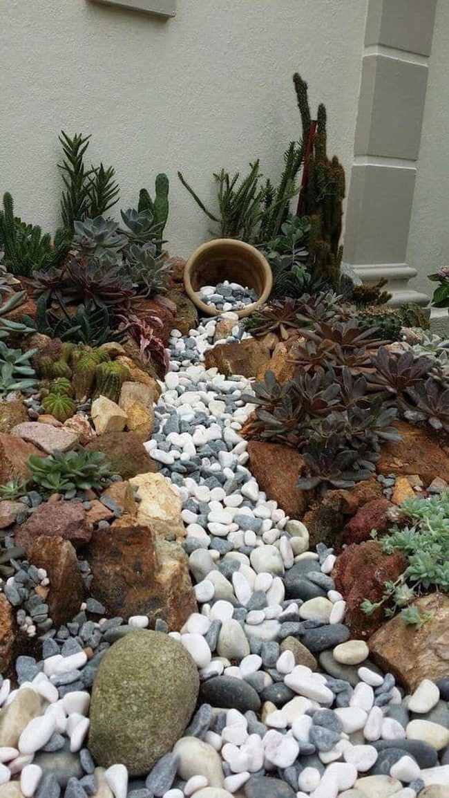 Stone Pathways Through Succulents