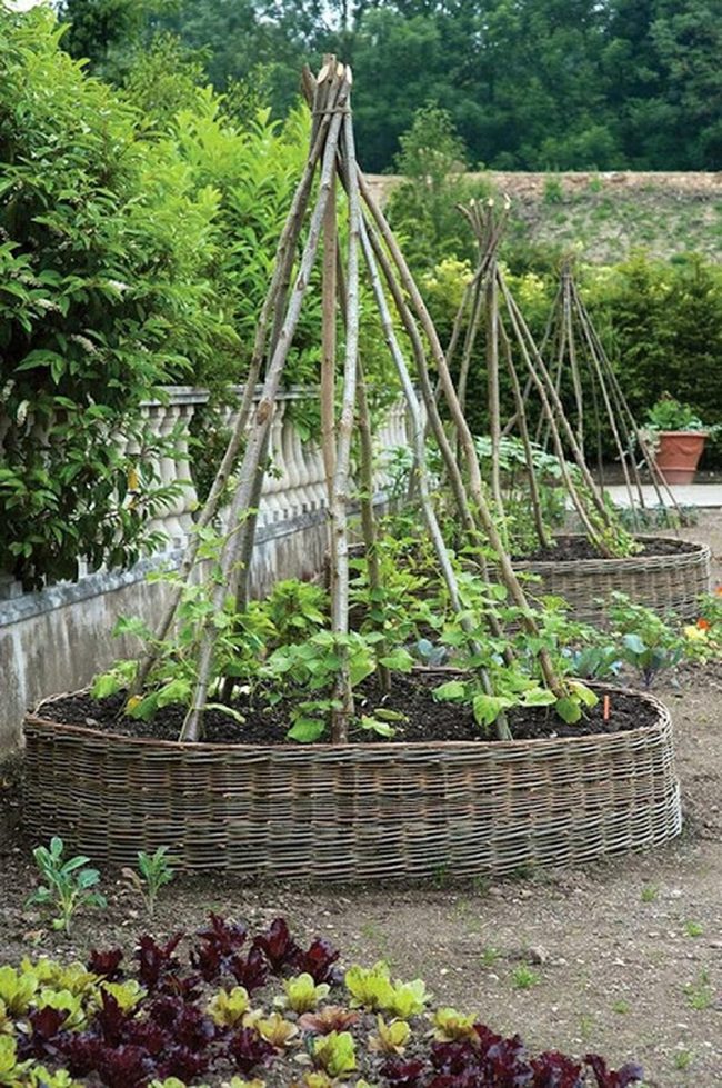 Green Seedlings In Wicker Baskets