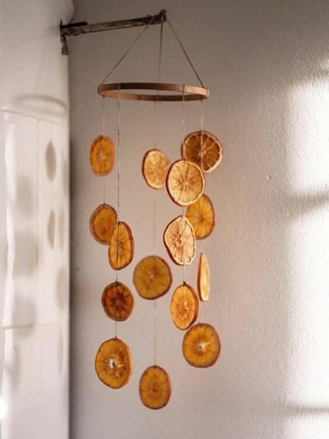 Dried Citrus Hoop Mobile