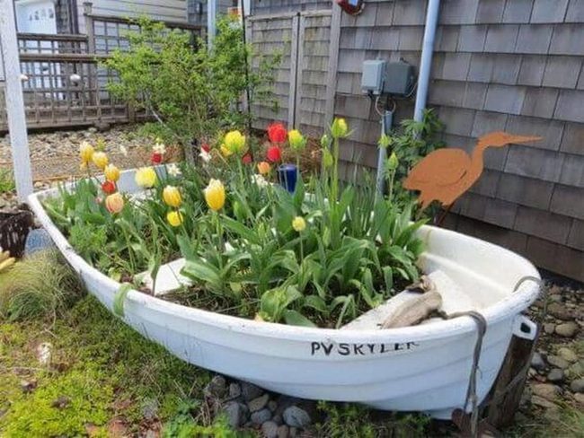 Colorful Tulips Weathered Boat