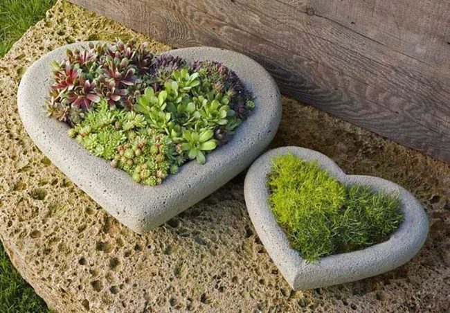 Living Green Hearts