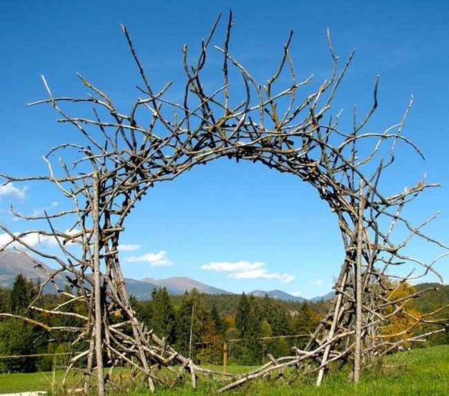 Natural Branch Circular Frame