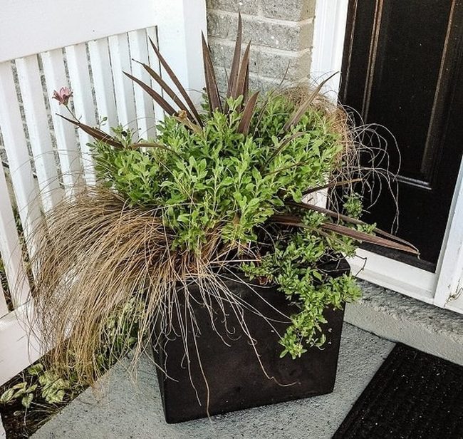 Emerald Planters With Jeweled Ornaments