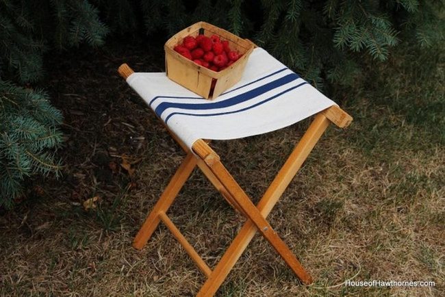 Blue Striped Seat, Red Raspberries