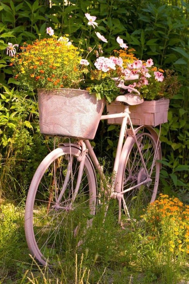 Vintage Bicycle Flower Planter