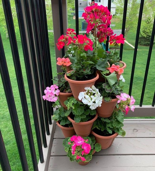 Vertical Geranium Tower
