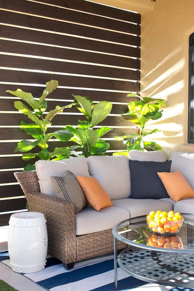 Orange Blue Wicker Escape