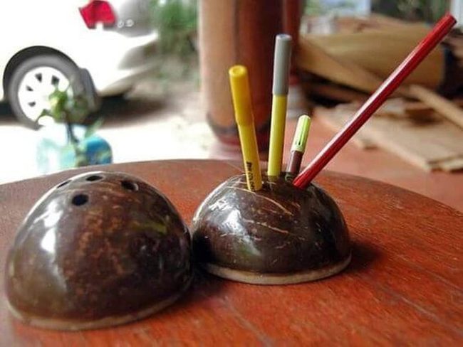 Coconut Shell Brown Desk Organizer