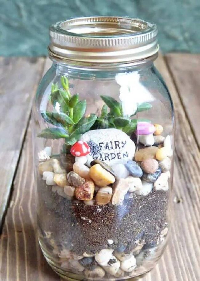 Miniature Mushroom Terrarium Jar