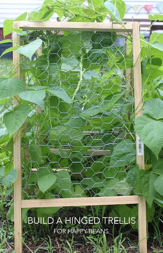 Wooden Frame Climbing Trellis