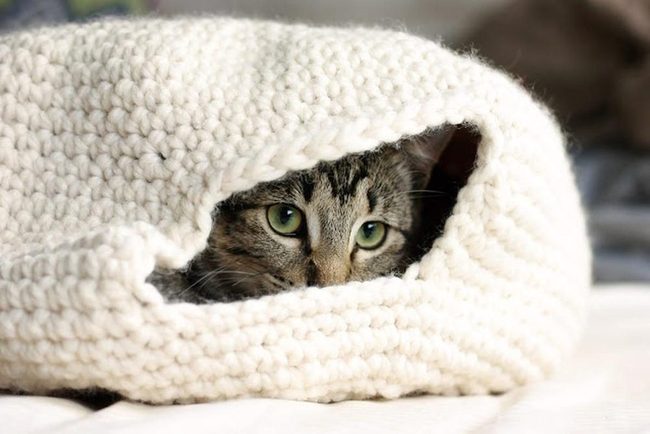 Cream Wool Cat Nest