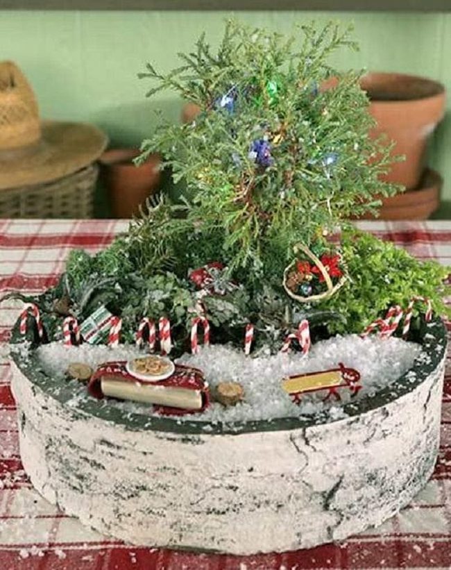 Miniature Moss Gardens With Tiny Lights
